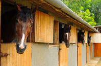 free Stoke Bardolph stable construction quotes
